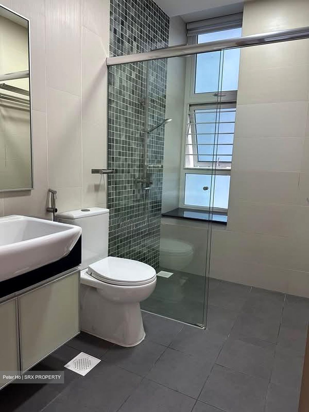 Ritz Regency (D15), Apartment #537865601